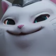 a smug cat